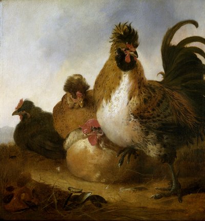 Rooster and Hens by Aelbert Cuyp